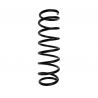 COIL SPRING (Front, Standard)