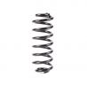 COIL SPRING (Rear, Standard)