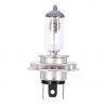 AMPOULES 12V H4