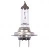 AMPOULES 12V H7