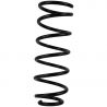 COIL SPRING (Rear, Standard)