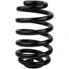 COIL SPRING (Rear, Standard)