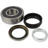 WHEEL BEARING KIT (Rear) (Aftermarket)