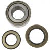 WHEEL BEARING KIT (Rear) (OEM)