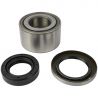 WHEEL BEARING KIT (Rear) (OEM)