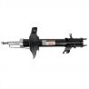 SHOCK ABSORBER (Rear, Right, Gas) (OEM)