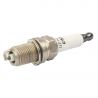 SPARKPLUG (NGK)