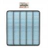 AIR FILTER (Genuine)