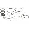 POWER STEERING BOX SEAL KIT