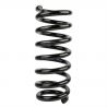 COIL SPRING (Front, Standard)