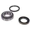 WHEEL BEARING KIT (Rear) (OEM)